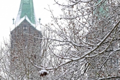Schnee in Bamberg, Autor: Charlotte Moser