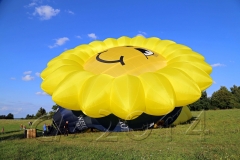 Ballonfahrt über Bamberg, 2014, Autor: Charlotte Moser