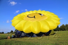 Ballonfahrt über Bamberg, 2014, Autor: Charlotte Moser