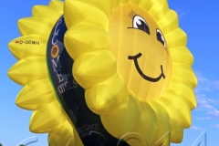 Ballonfahrt über Bamberg, 2014, Autor: Charlotte Moser