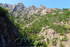 Korsika, Col de Vergio, Spelunkaschlucht, Autor: Charlotte Moser