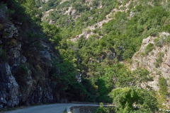 Korsika, Col de Vergio, Spelunkaschlucht, Autor: Charlotte Moser