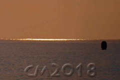 Das Meer bei Bastia, Autor: Charlotte Moser