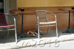 Korsika, Corte, Autor: Charlotte Moser