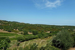 Korsika, unterwegs nach Calvi, Autor: Charlotte Moser