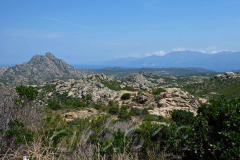 Korsika, unterwegs nach Calvi, Autor: Charlotte Moser