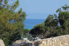 Korsika, Calvi, Autor: Charlotte Moser