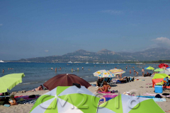 Korsika, am Strand von Calvi, Autor: Charlotte Moser