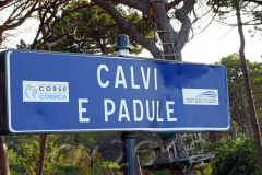 Korsika, Calvi, Autor: Charlotte Moser