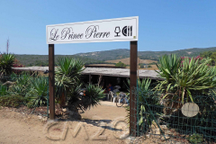 Korsika, auf der D81B unterwegs nach Galeria, Autor: Charlotte Moser