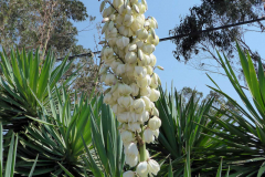 Korsika, auf der D81B unterwegs nach Galeria, Autor: Charlotte Moser