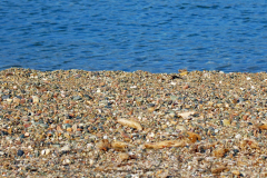 Korsika, am Strand von Galeria, Autor: Charlotte Moser