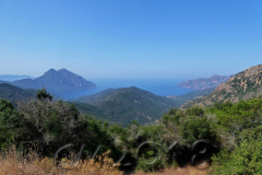 Korsika, unterwegs nach Porto, Autor: Charlotte Moser