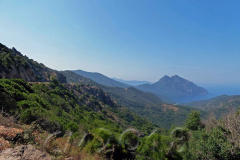 Korsika, unterwegs nach Porto, Autor: Charlotte Moser