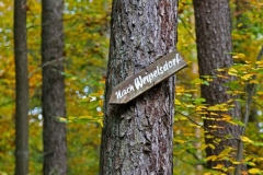 Michelsberger Wald, Bamberg, Autor: Charlotte Moser