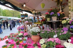 Spaziergang durch München, Viktualienmarkt, Autor: Charlotte Moser