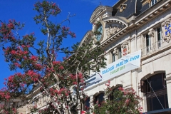 Toulouse, Autor: Charlotte Moser