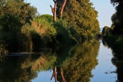Bei Gruissan, Canal de la Robine, Autor: Charlotte Moser