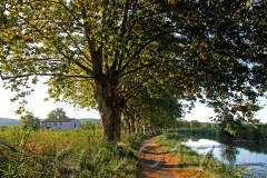 Bei Gruissan, Canal de la Robine, Autor: Charlotte Moser