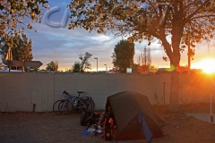 Frontignan, Autor: Charlotte Moser