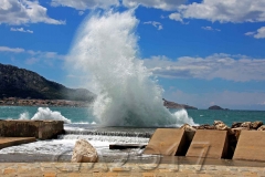 Marseille, Autor: Charlotte Moser