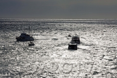 Marseille, Autor: Charlotte Moser