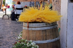 Trastevere10_autor_charlotte_moser