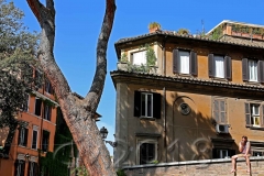 Trastevere3_autor_charlotte_moser