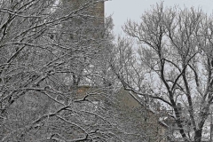 Schnee in Bamberg, Autor: Charlotte Moser