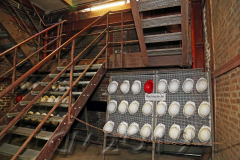 Zeche Zollverein, Autor: Charlotte Moser