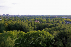 Zeche Zollverein, Autor: Charlotte Moser