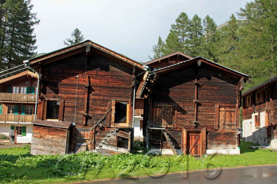 Oberwald, autor: charlotte moser