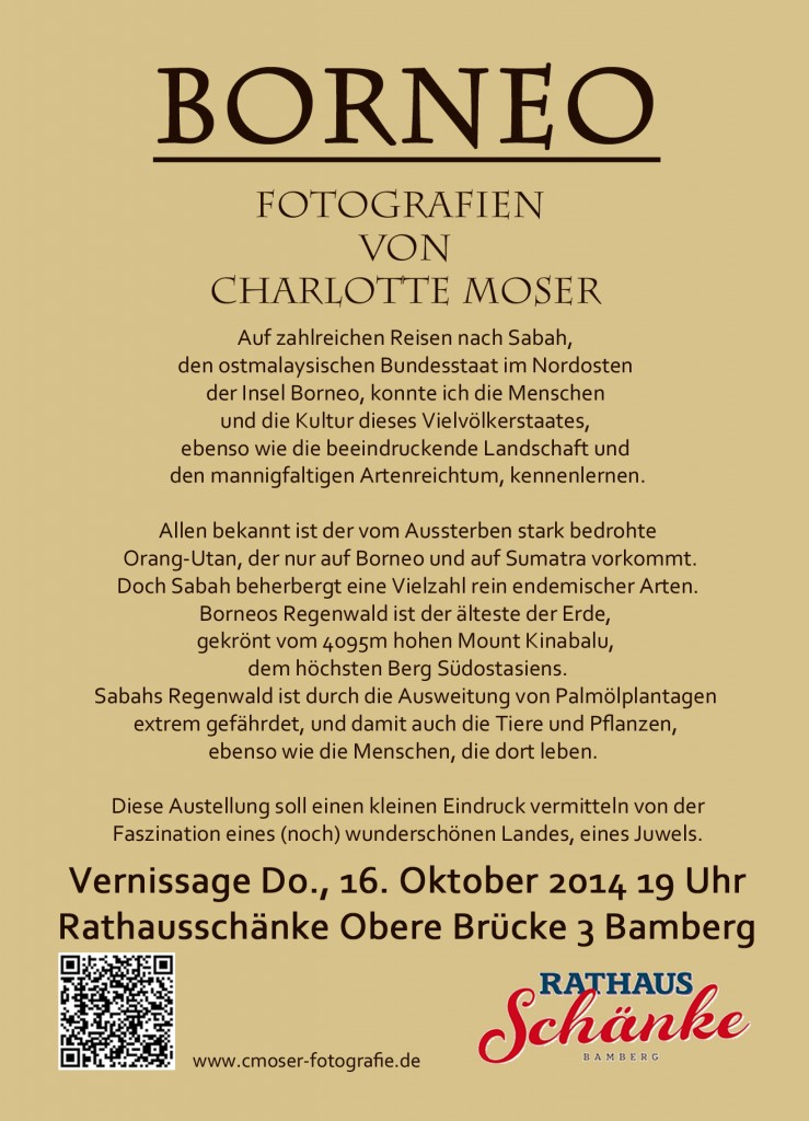 Vernissage Flyer_borneo_rückb1