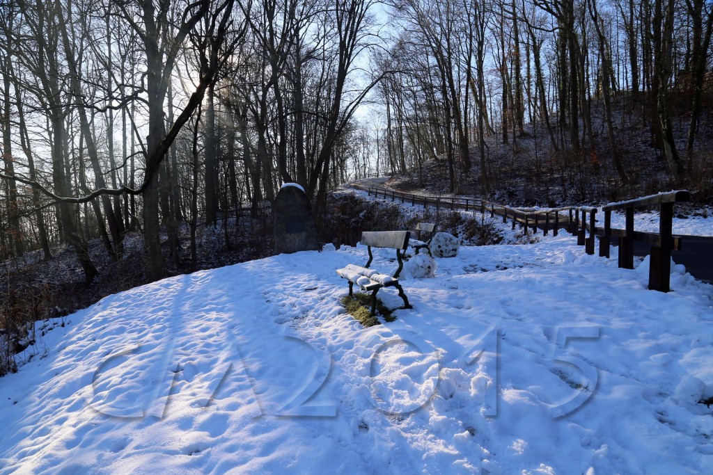 Hochnebel_Altenburg 011_wz