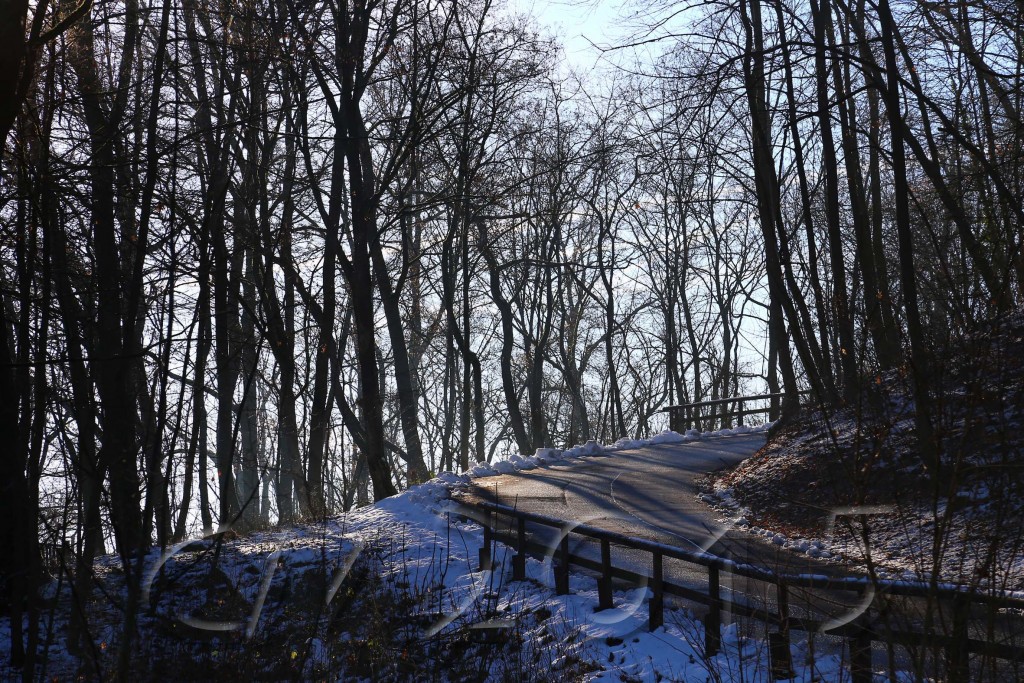 Hochnebel_Altenburg 017_wz