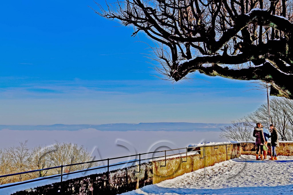 Hochnebel_Altenburg 024_2a_wz