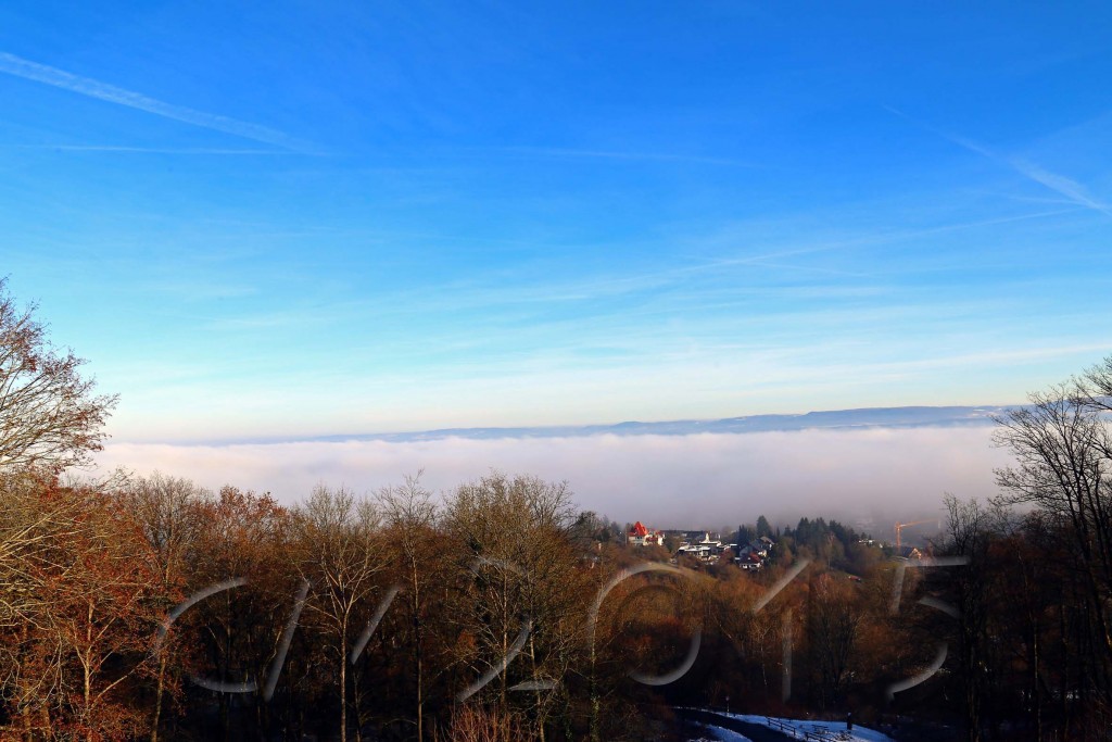 Hochnebel_Altenburg 028_1_wz
