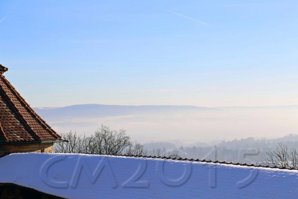 Hochnebel_Altenburg 064_wz