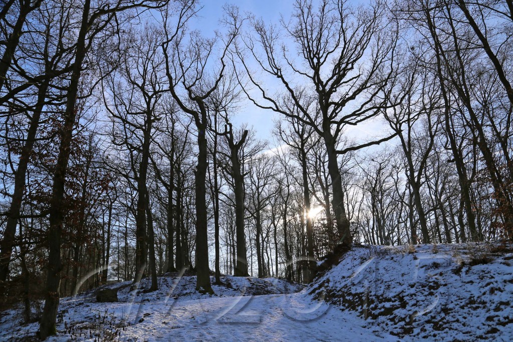 Hochnebel_Altenburg 084_wz