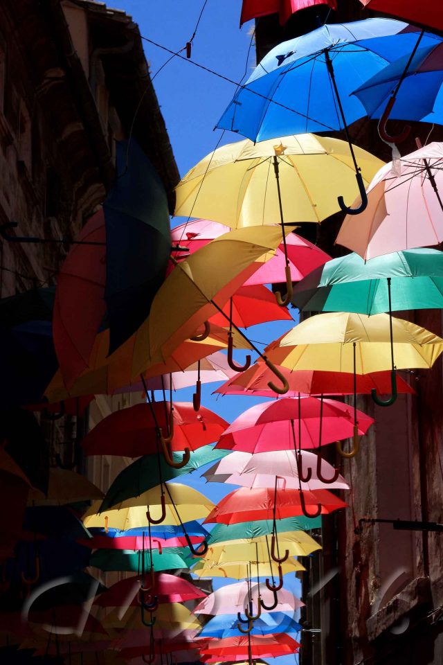 Avignon, autor: charlotte moser