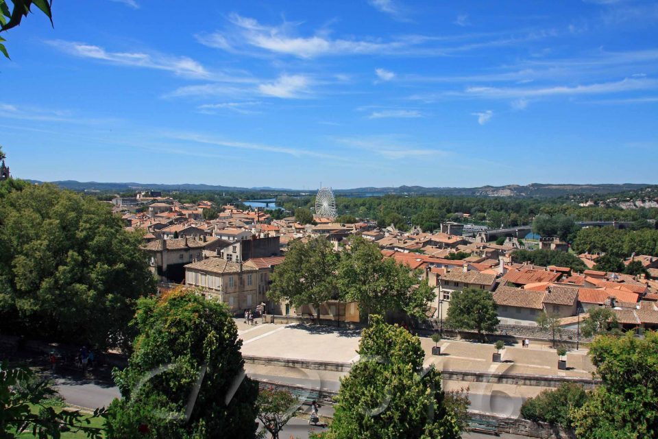 Avignon, autor: charlotte moser