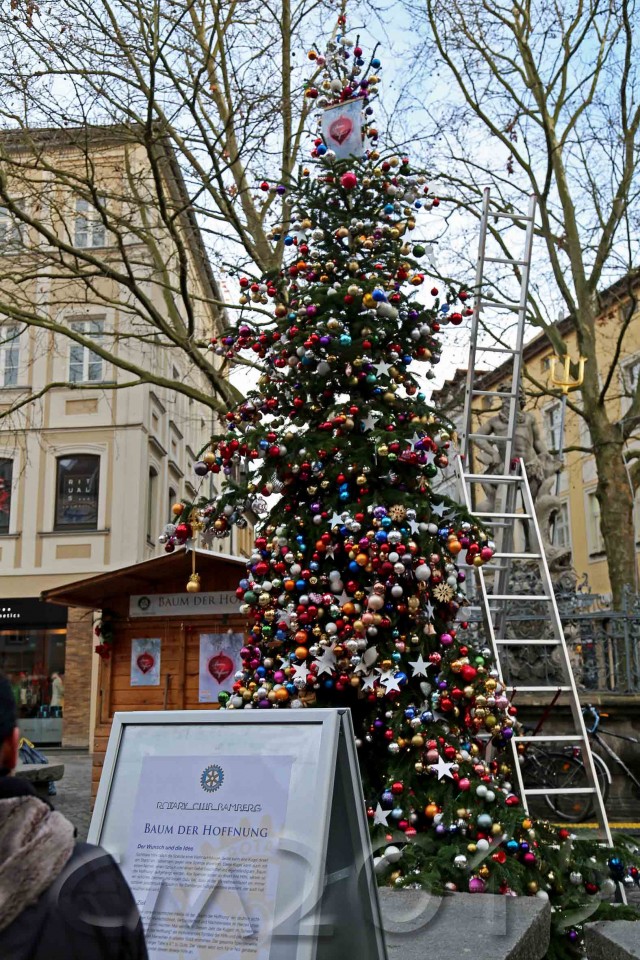 Baum der Hoffnung, autor: charlotte moser
