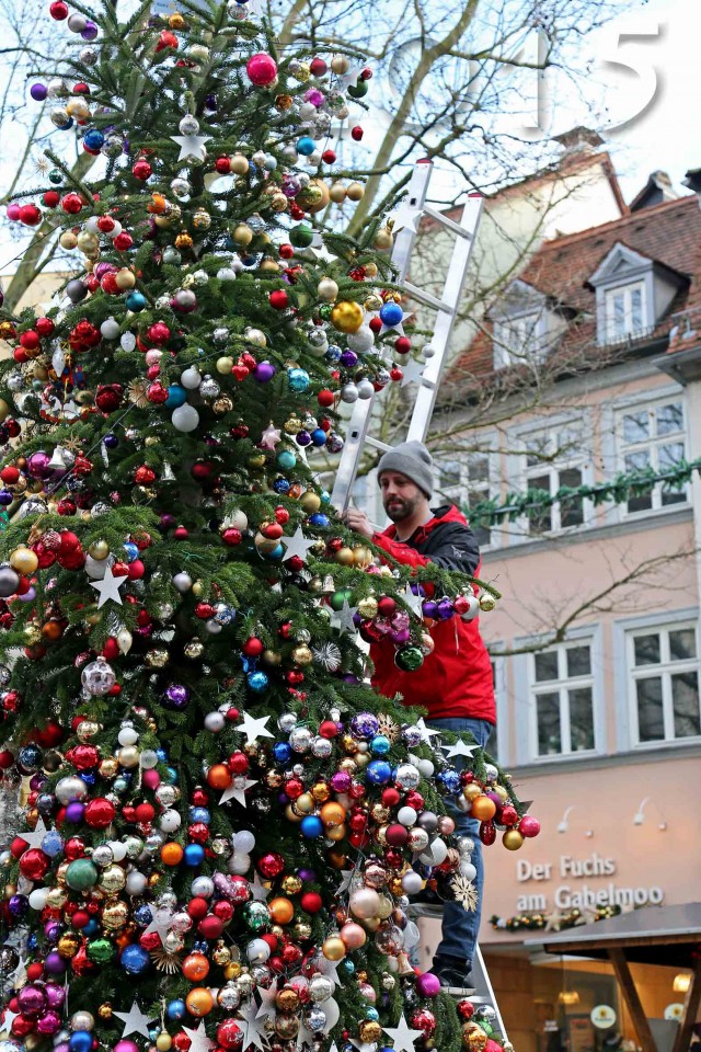 Baum der Hoffnung, autor: charlotte moser