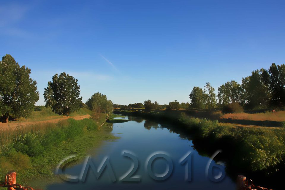Camargue, autor: charlotte moser