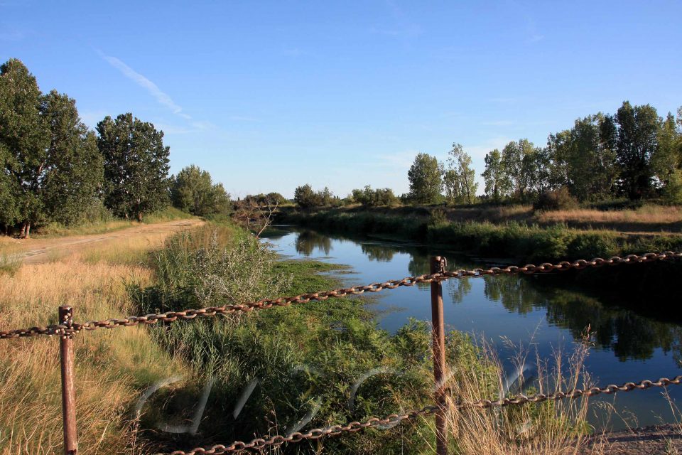 Camargue, autor: charlotte moser