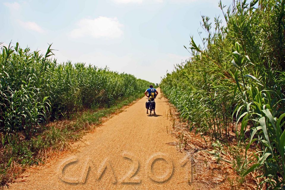 Camargue, autor: charlotte moser