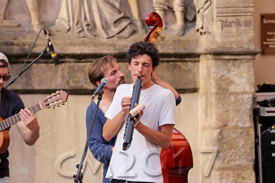 Fete de la Musique, Bamberg 2017, autor: charlotte moser