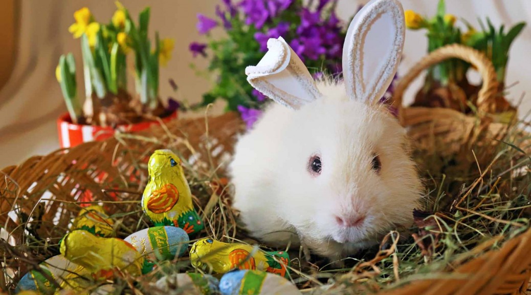 Frohe Ostern Autor: Charlotte Moser