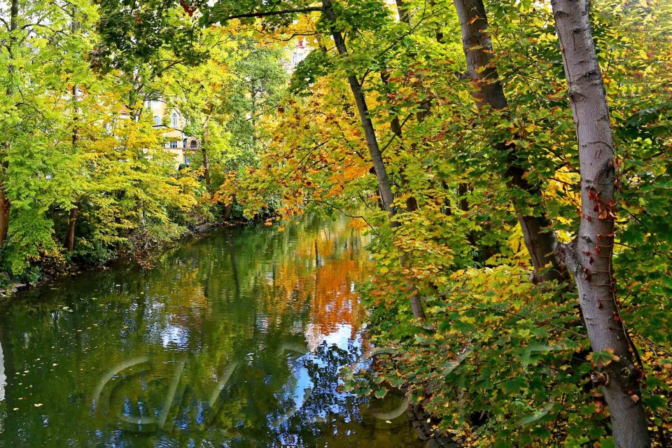 Hain Bamberg, Autor: Charlotte Moser