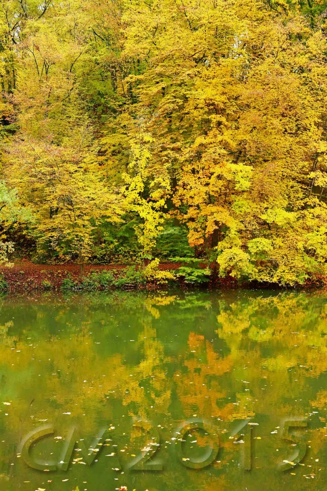 Hain Bamberg, Autor: Charlotte Moser
